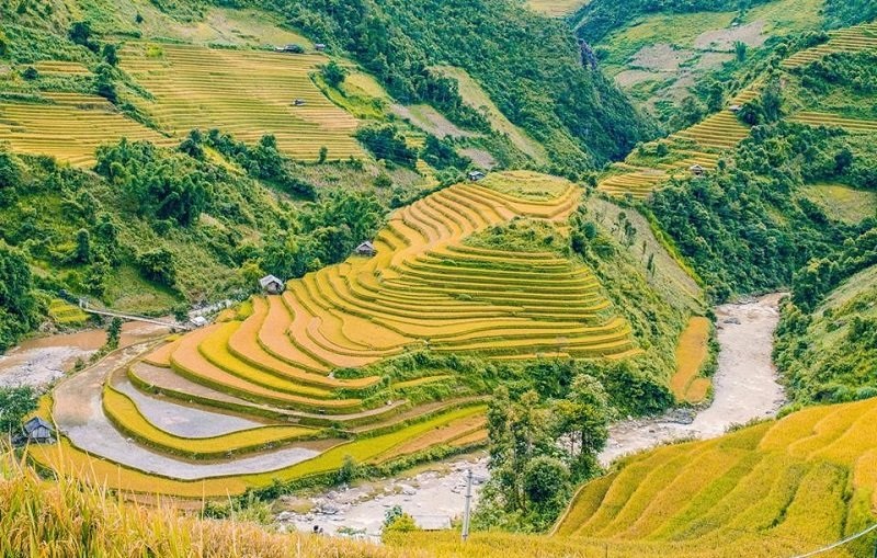 Mù Cang Chải nổi tiếng với địa điểm du lịch tham quan ruộng bậc thang