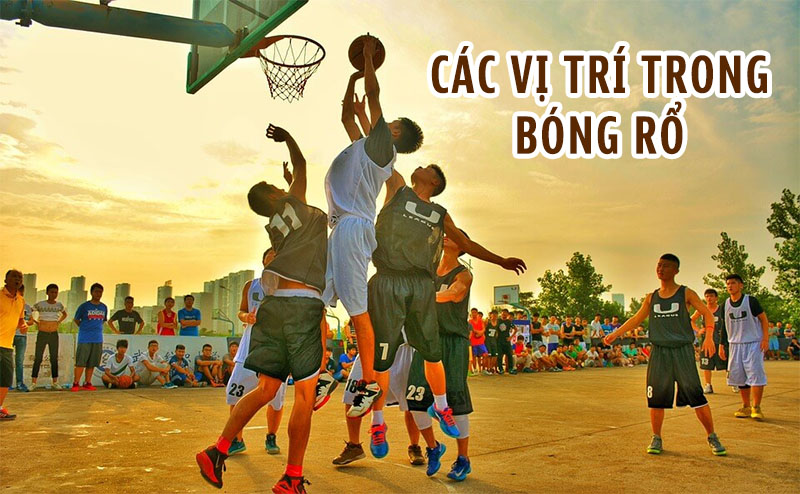 Các vị trí trong bóng rổ mà bạn cần biết