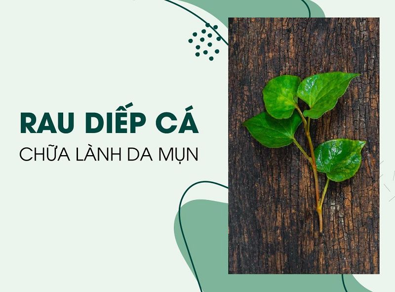 Top 10 cách trị mụn hiệu quả tại nhà sau 1 tuần