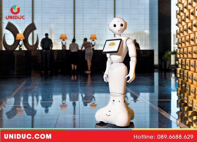 Mua robot phục vụ ở đâu TP HCM?