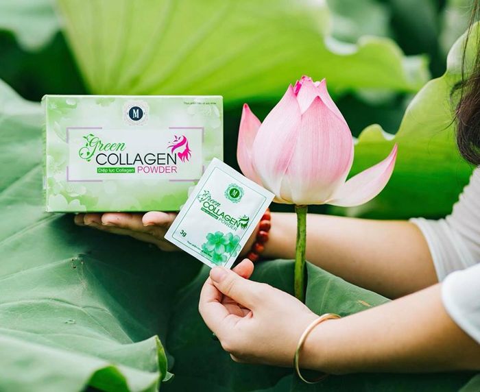 Diệp lục collagen có tốt không? Gợi ý cách sử dụng diệp lục collagen an toàn và hiệu quả