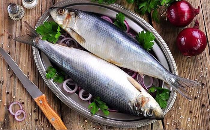 Top 5 thực phẩm tốt cho não không thể bỏ qua