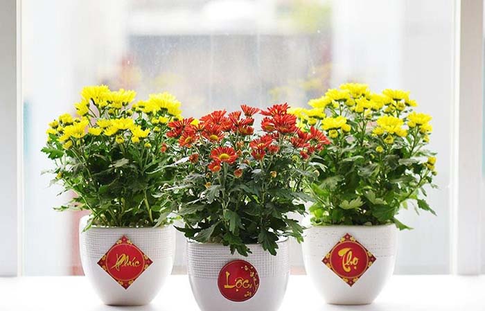 Những Món Quà Tết Ý Nghĩa Phù Hợp Để Tặng Những Ngày Đầu Năm Mới