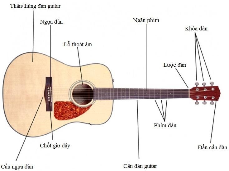 Đàn guitar xuất xứ từ quốc gia nào? Sơ lược quá trình phát triển của Guitar