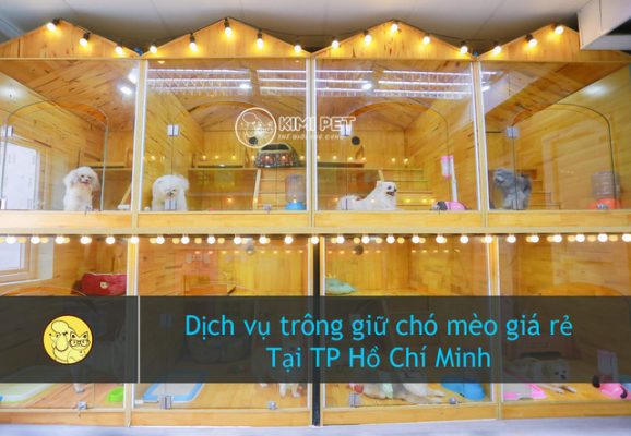 Top #5 Dịch vụ trông giữ chó mèo giá rẻ tại TP Hồ Chí Minh