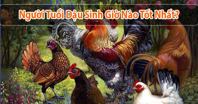 Giải mã tử vi cho tuổi Dậu - Người tuổi Dậu sinh giờ nào tốt?