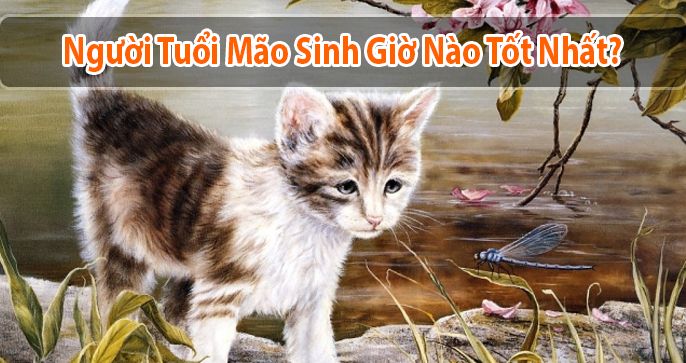 Giải đáp thắc mắc tuổi mão sinh giờ nào tốt nhất