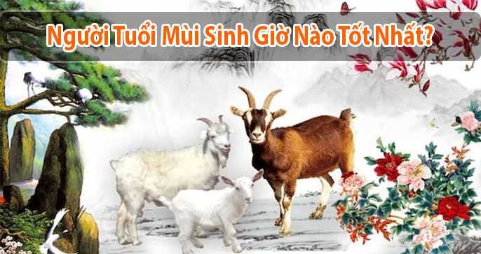 Tuổi Mùi sinh giờ nào tốt? Có nên can thiệp vào giờ sinh hay không?