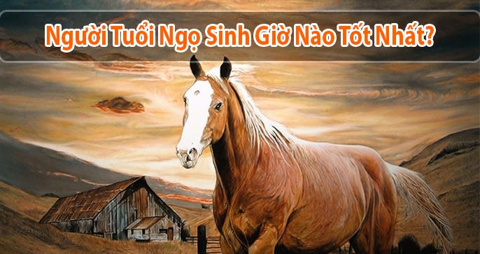 Tuổi Ngọ sinh giờ nào tốt? Vận mệnh người tuổi Ngọ chi tiết nhất