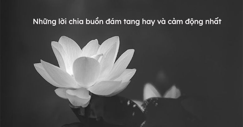 Gợi ý cách nhắn tin chia buồn đám tang ý nghĩa nhất