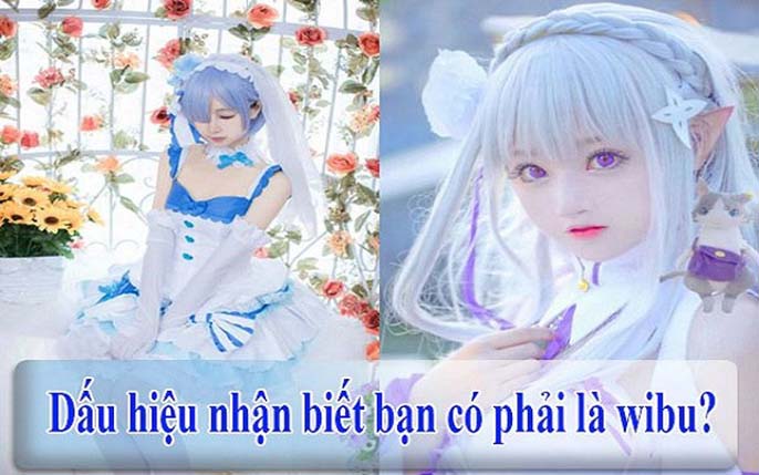 Wibu là gì? Cách nhận biết một người có dấu hiệu Wibu