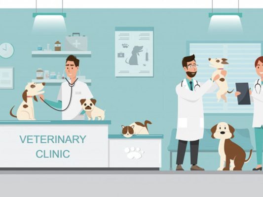 Tổng hợp những phòng khám thú y uy tín và hiện đại nhất quận 7
