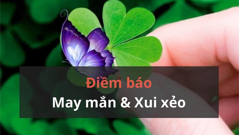 Giải mã tại sao so em xui là gì mà trở nên “hot” như vậy?