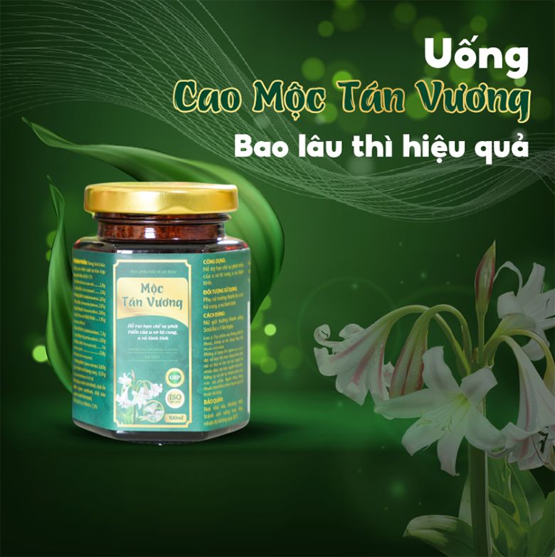 LỰA CHỌN MỘC TÁN VƯƠNG ĐỂ ĐIỀU TRỊ CÓ PHẢI SỰ LỰA CHỌN THÔNG MINH?