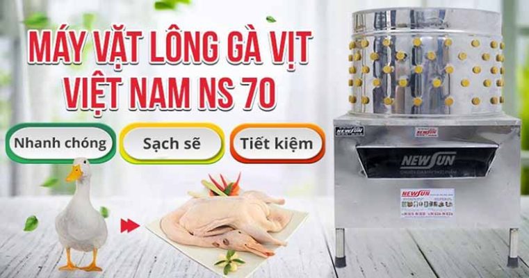 Chia sẻ cho bạn địa chỉ bán máy vặt lông gà uy tín, giá rẻ