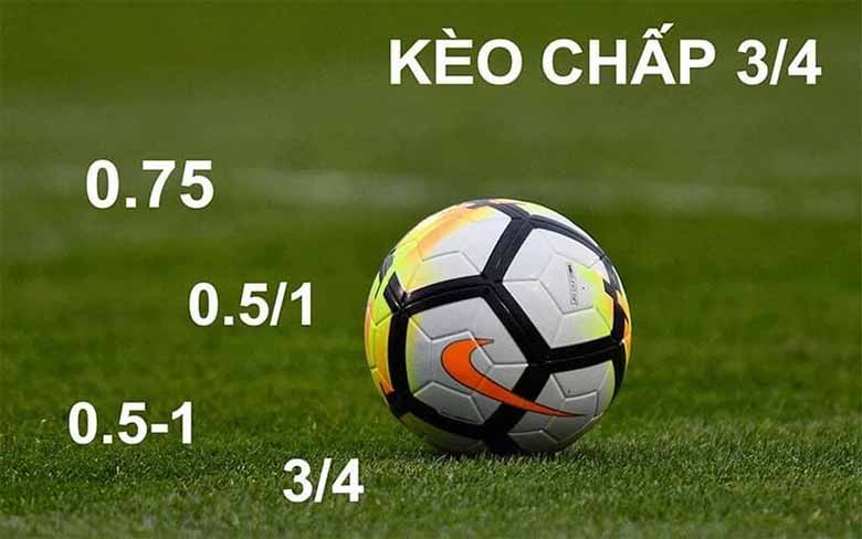 Tỷ lệ kèo là gì? Bí quyết đọc kèo bóng đá chính xác nhất