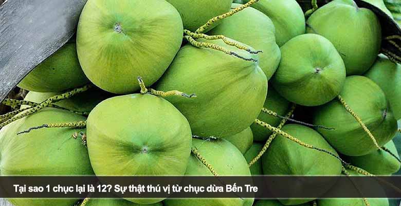 Tại sao 1 chục lại là 12? Sự thật thú vị từ chục dừa Bến Tre